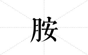 胺的笔顺