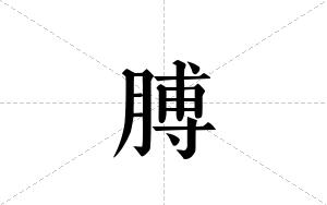膊的笔顺