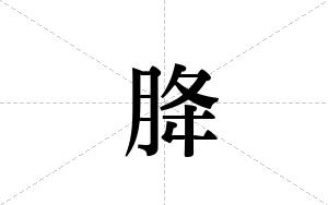 胮的笔顺